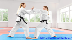 Hướng dẫn chi tiết xin Giấy phép kinh doanh thể thao môn Karate