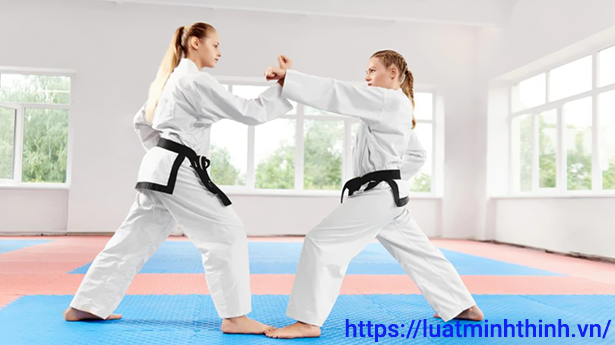 Hướng dẫn chi tiết xin Giấy phép kinh doanh thể thao môn Karate