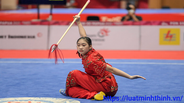 Thủ tục xin giấy phép kinh doanh hoạt động thể thao môn Wushu mới nhất 2025