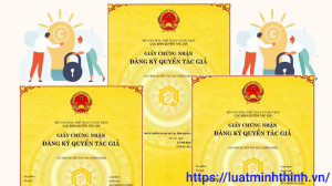 Thủ tục cấp lại Giấy chứng nhận tổ chức giám định quyền tác giả, quyền liên quan